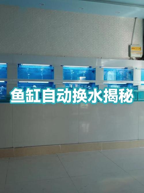 鱼缸换水时间早上还是晚上
