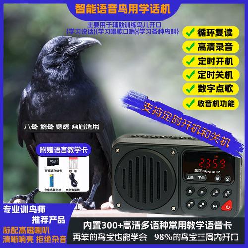微信语音为啥不能录音