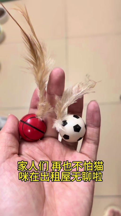 逗猫玩具-猫咪玩的游戏