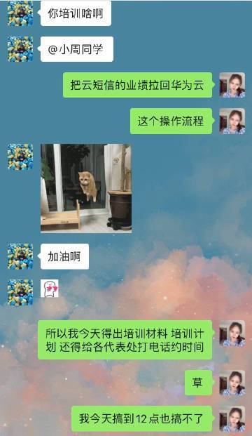 summer乡下的假日攻略