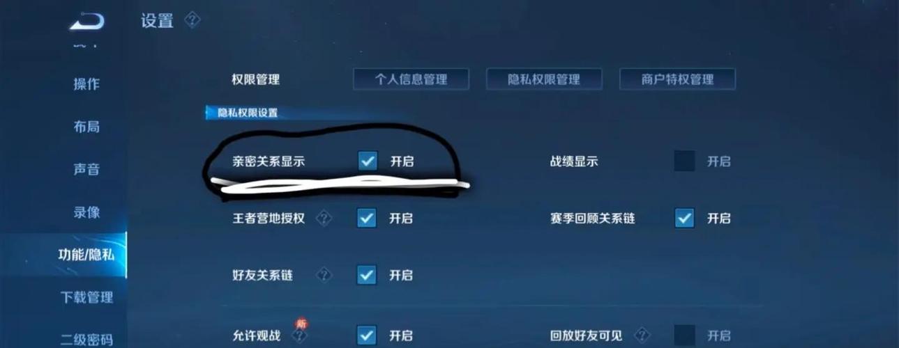 王者荣耀隐私设置隐藏段位