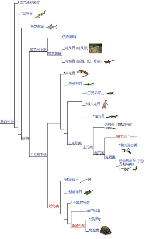 鱼龙是恐龙吗