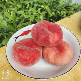 北京平谷蟠桃几月份上市