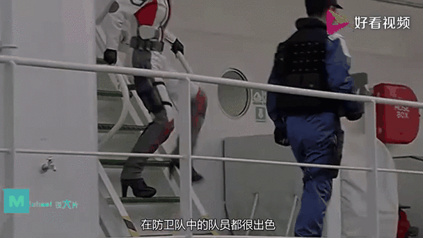 森林防卫队