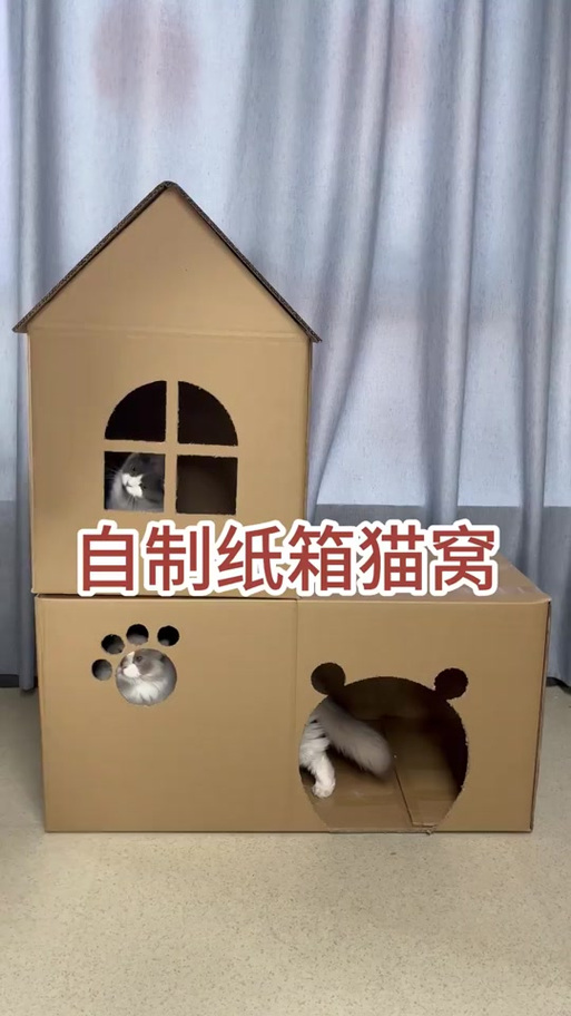 纸箱自制猫窝