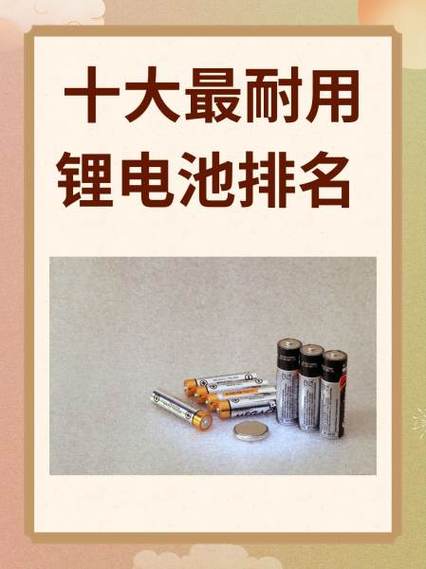十大最耐用锂电池排名
