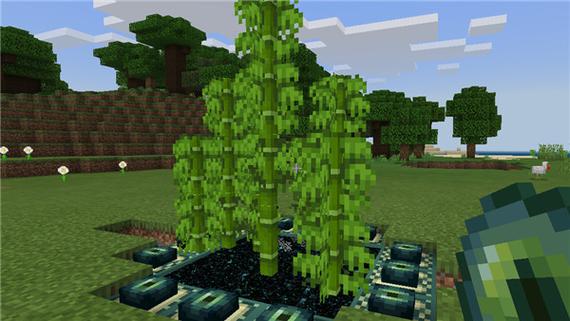 Minecraft1.1.4旧版本