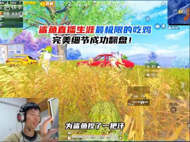 鲨鱼吃鸡游戏解说