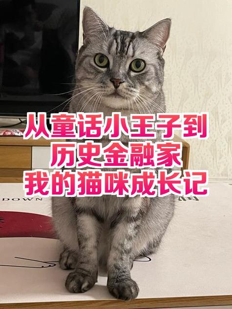 猫咪成长记真的假的