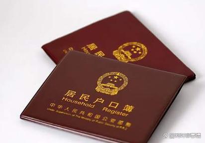 两个孩子共用一个户口