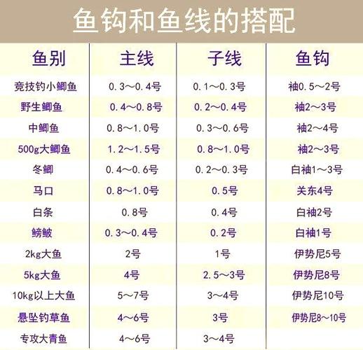 主线子线鱼钩搭配表