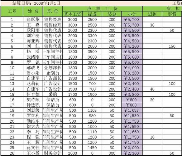 双胞胎集团员工工资表