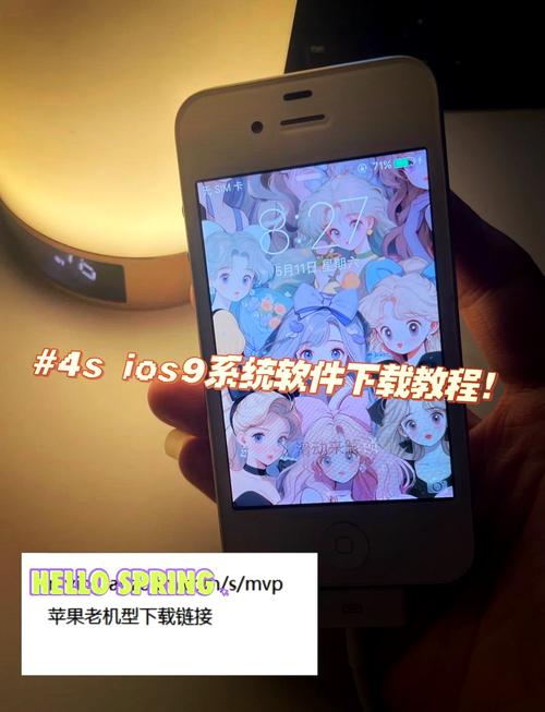 dmss苹果手机版下载