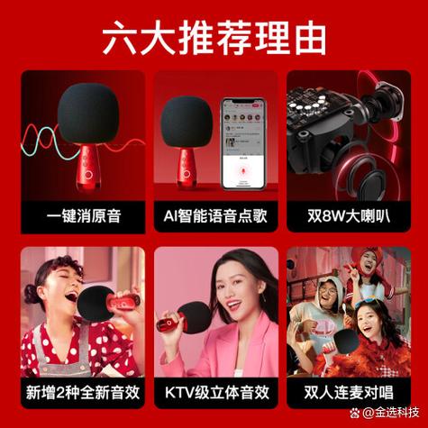性价比高的无线话筒品牌