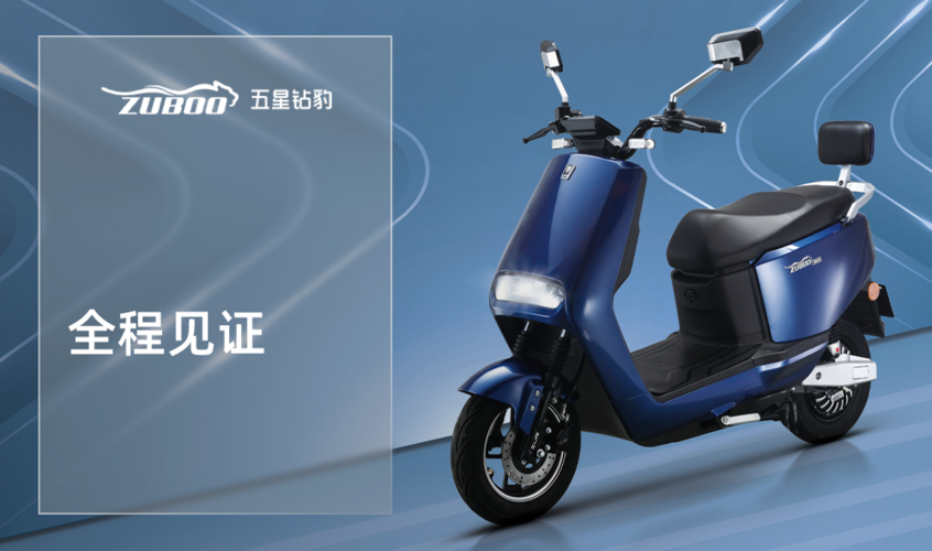 五星钻豹电动车使用说明书