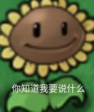表情包评论