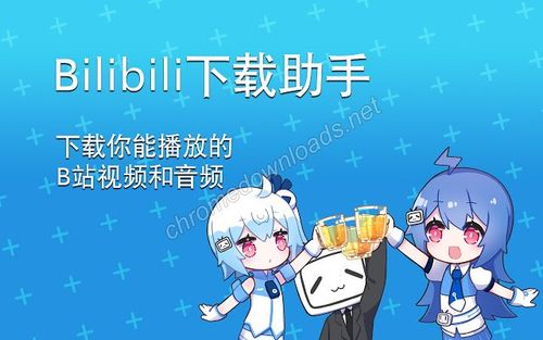 b站下载助手