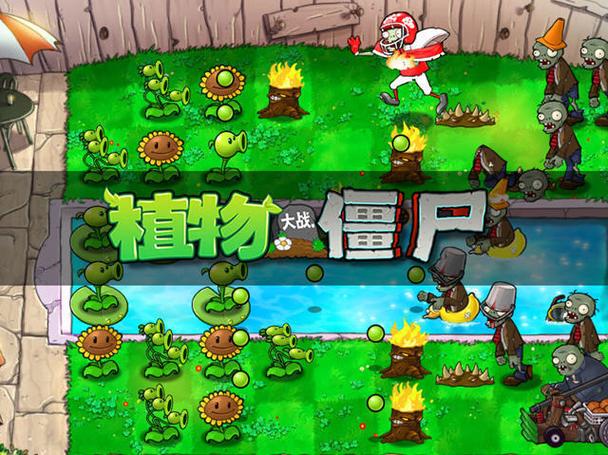 植物大战僵尸2010经典版