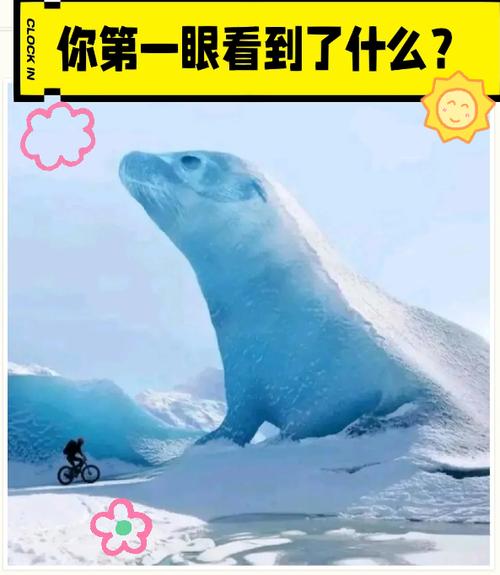 海豹性格