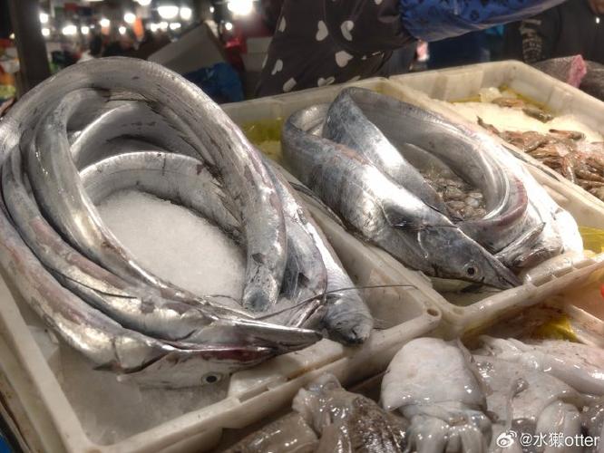 10几斤鮸鱼价格