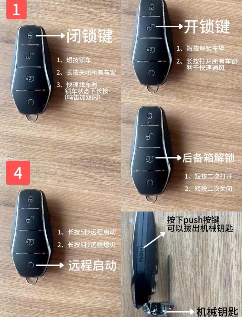 汽车钥匙鸥鸟acc