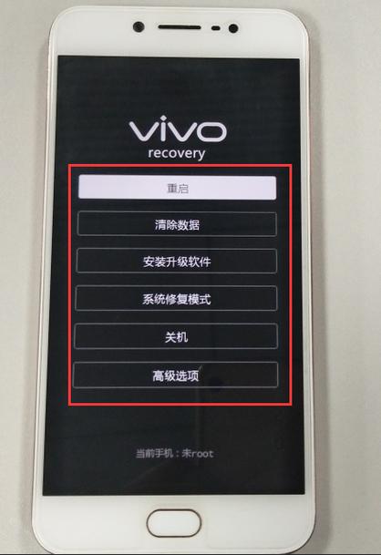 vivo隐匿模式