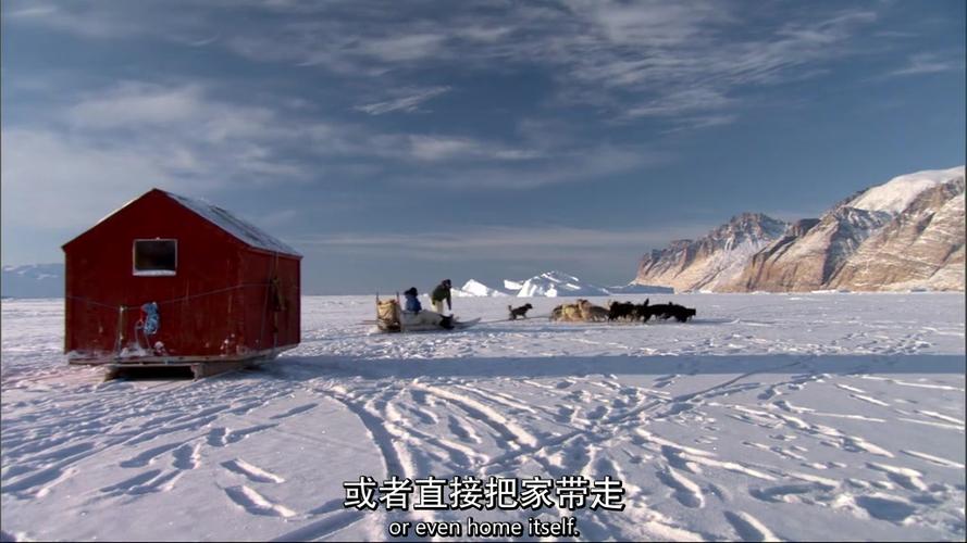 bbc人类星球