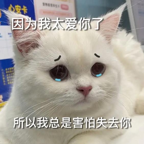 失去你的小可爱 表情包