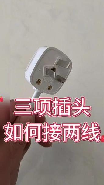 三插头接两根线图片