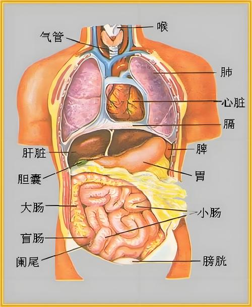 yuzu模拟器官网版下载