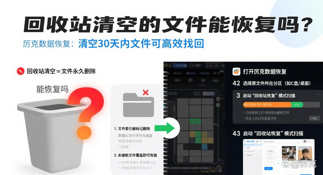 回收站10天内清空的能找到吗