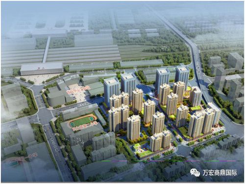 商丘站南广场拆迁范围