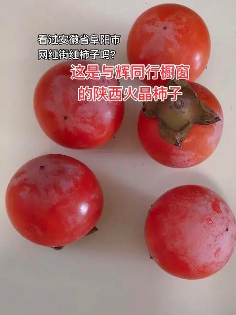 网红柿子