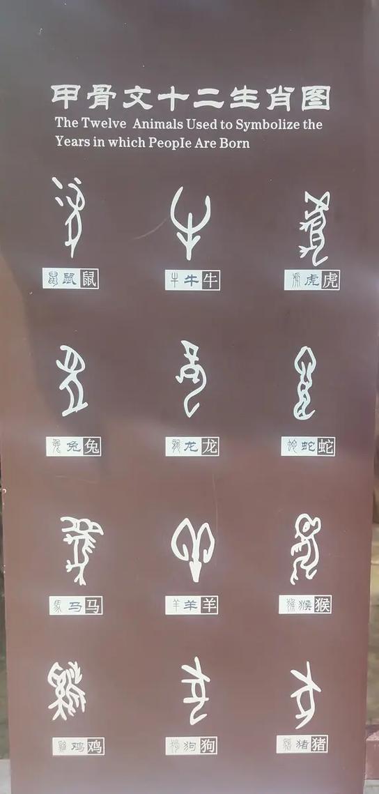 合体象形字有哪些