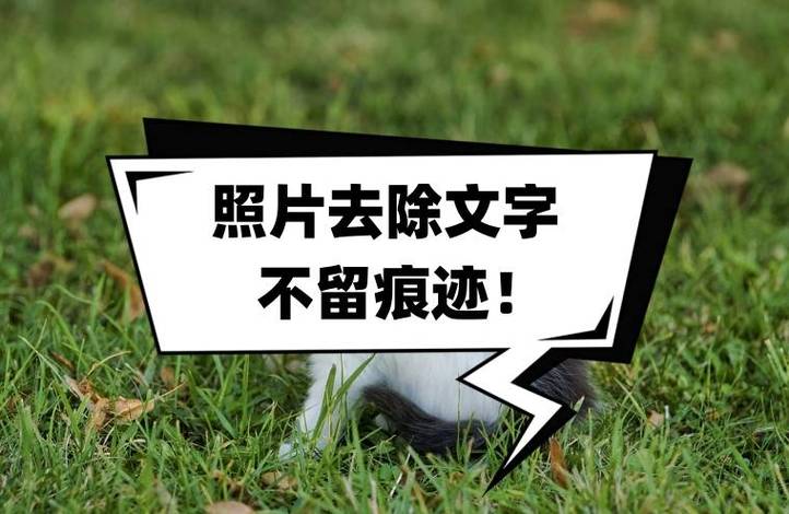 照片修改文字不留痕迹