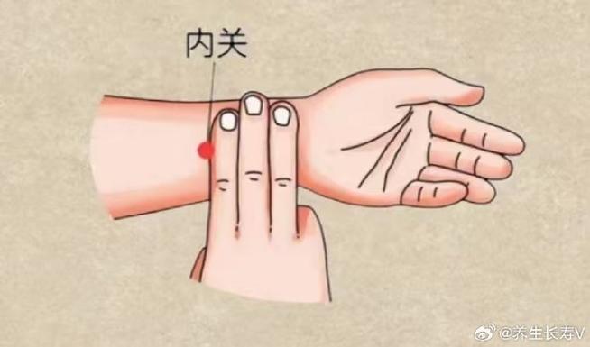 内关主治什么病