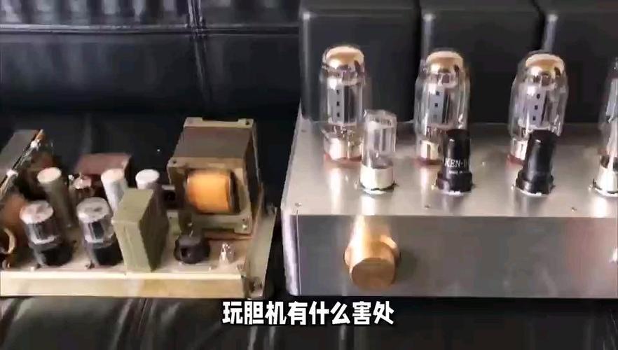 玩胆机有什么害处