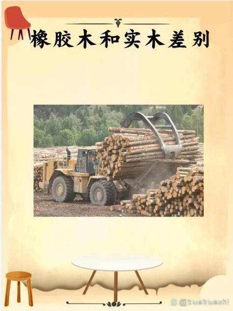 后期敏木好还是体木好