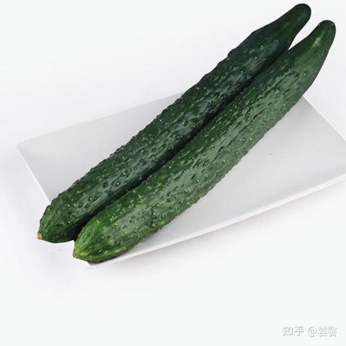 青瓜小说