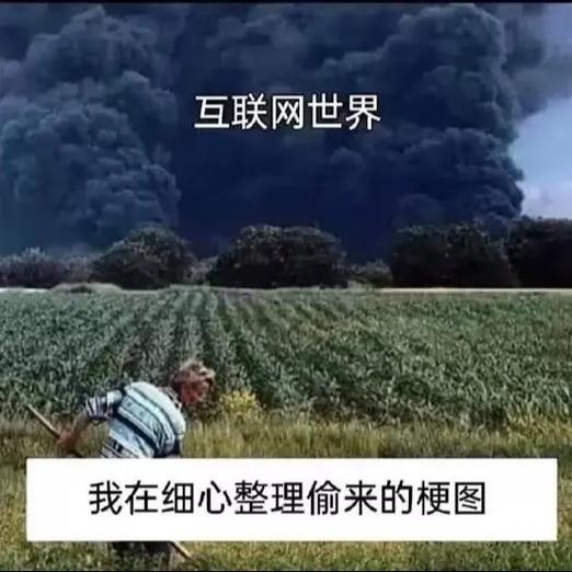 “入”网络梗什么意思