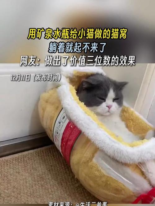 猫窝的制作方法