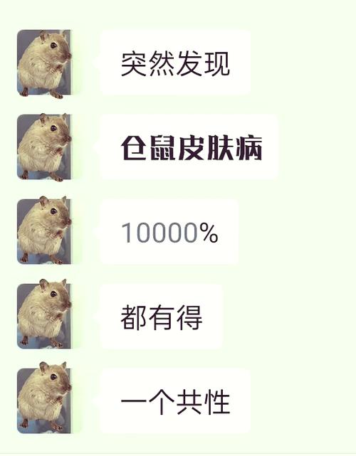 怎么看出仓鼠是不是病了