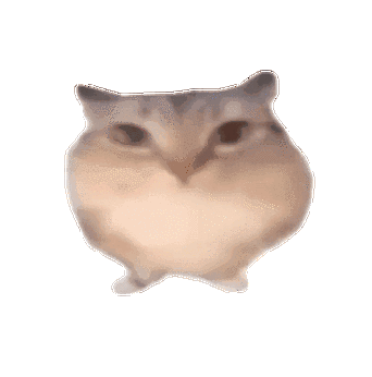 猫meme表情包下载