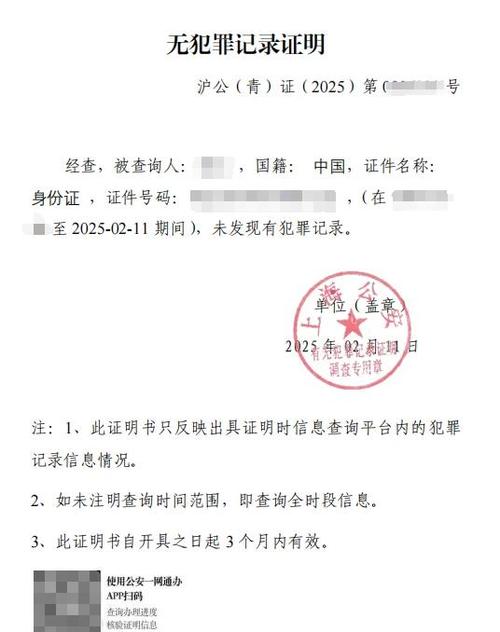 河南无犯罪证明电子版下载