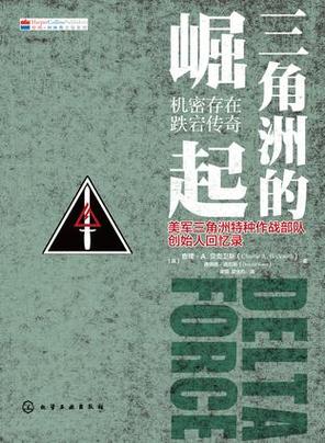 三角洲小说