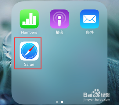 safari页面的图标不见了