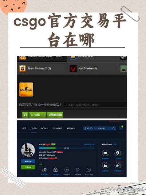 csgo实名认证在哪里看