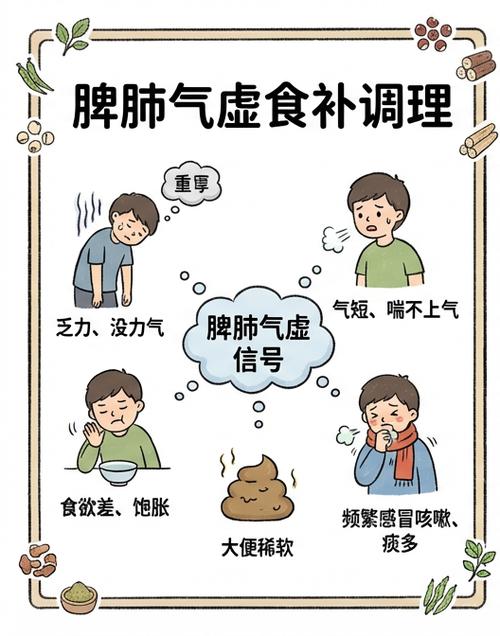 气虚排便无力怎么调理