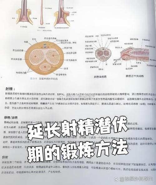 怎么延长发射时间
