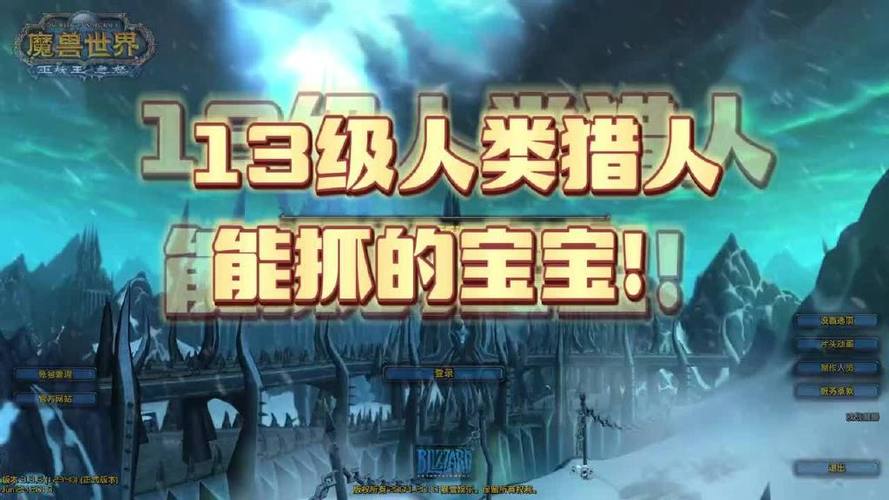 魔兽猎人能抓几个宝宝